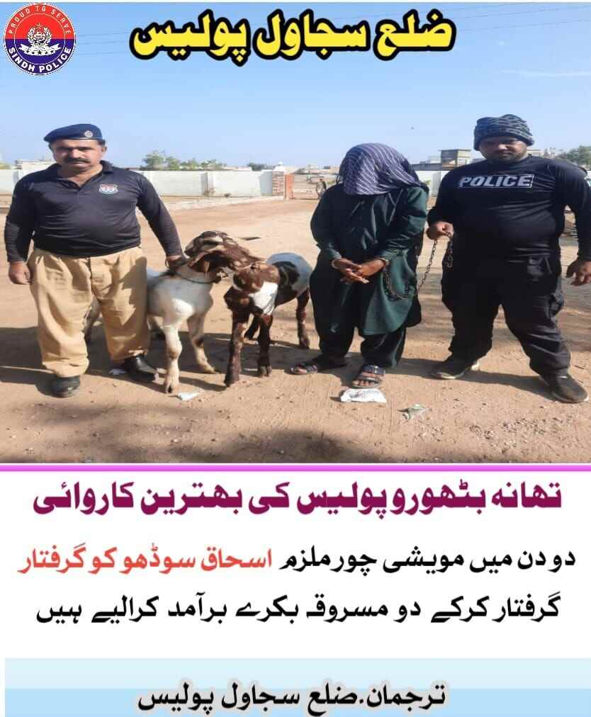 press release