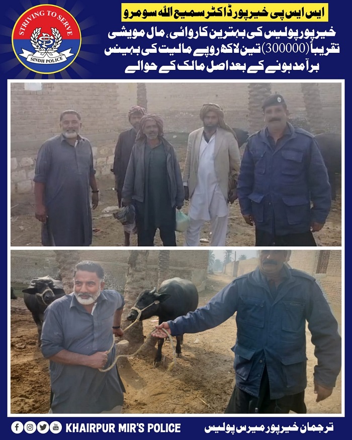 press release