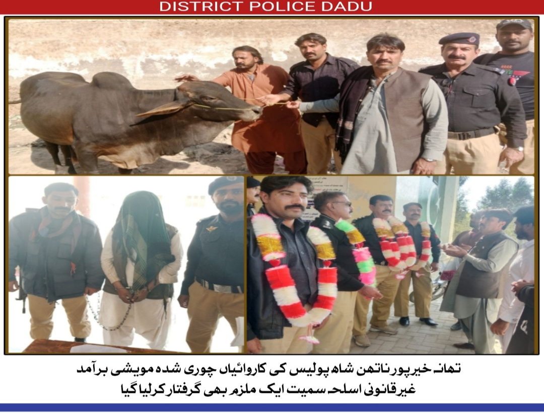 press release