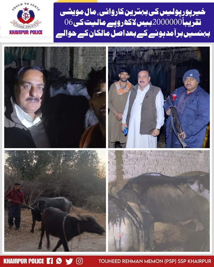 press release