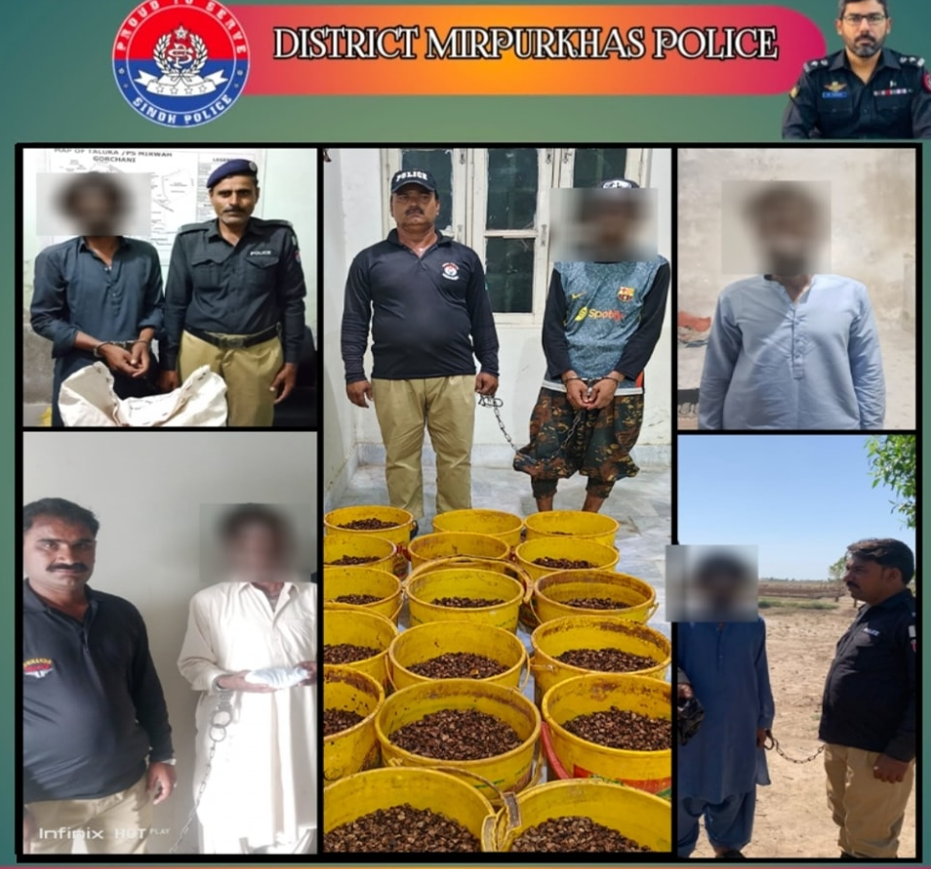 press release