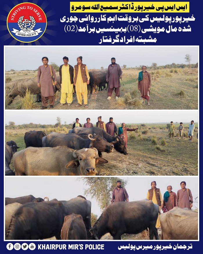 press release
