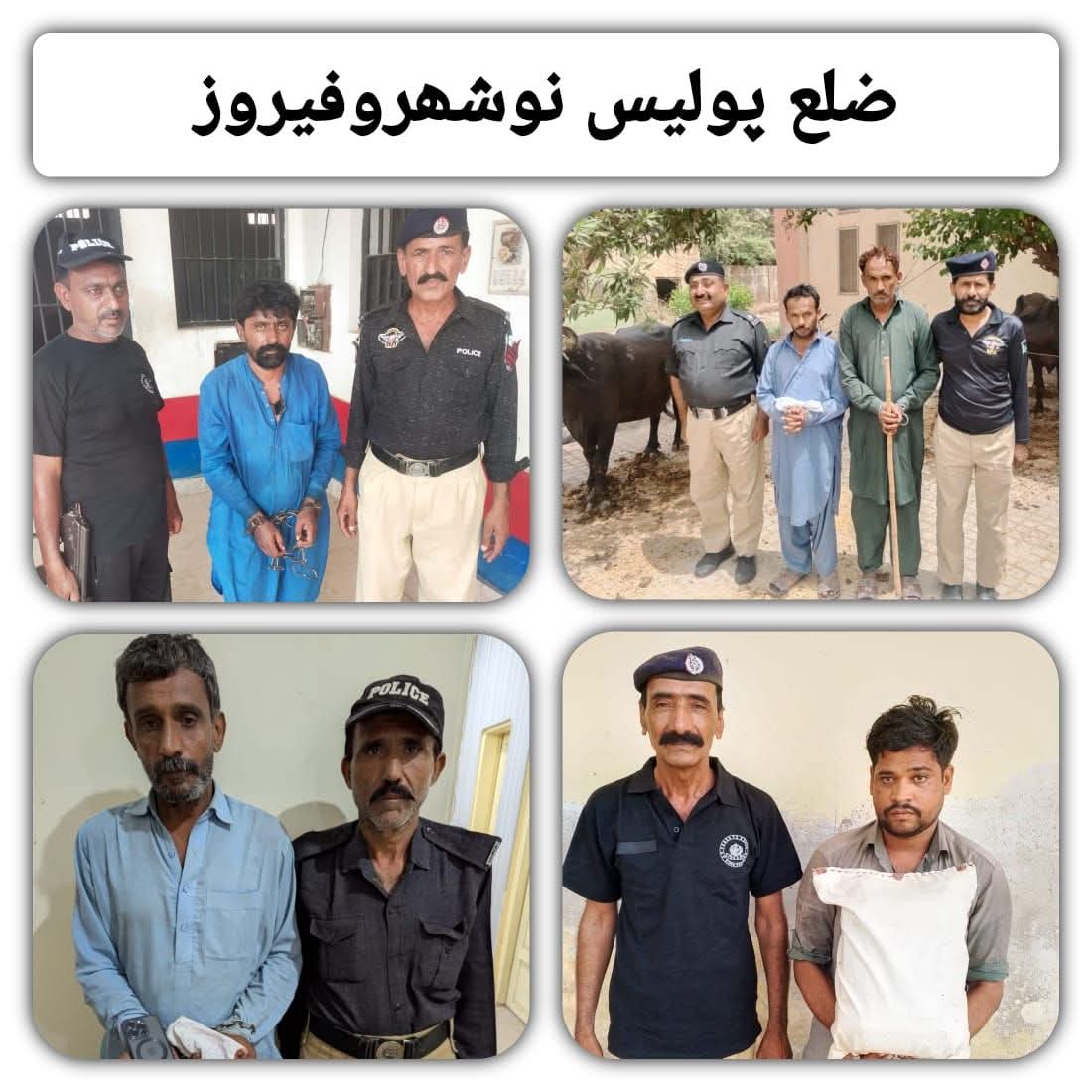 press release