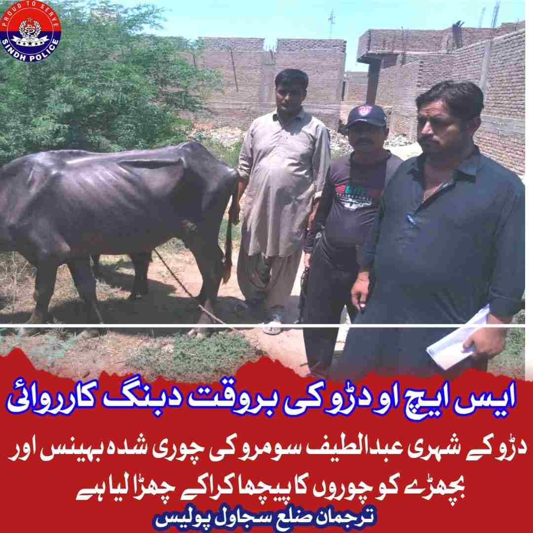 press release