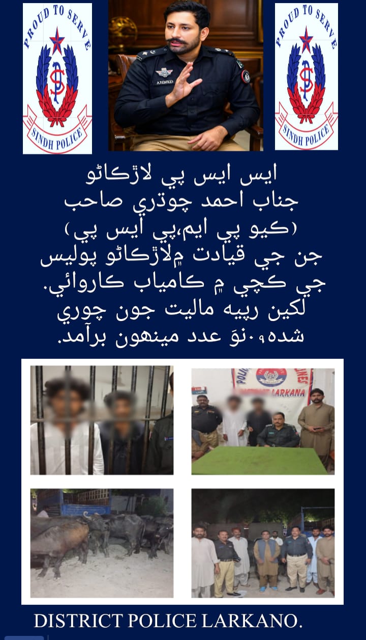 press release