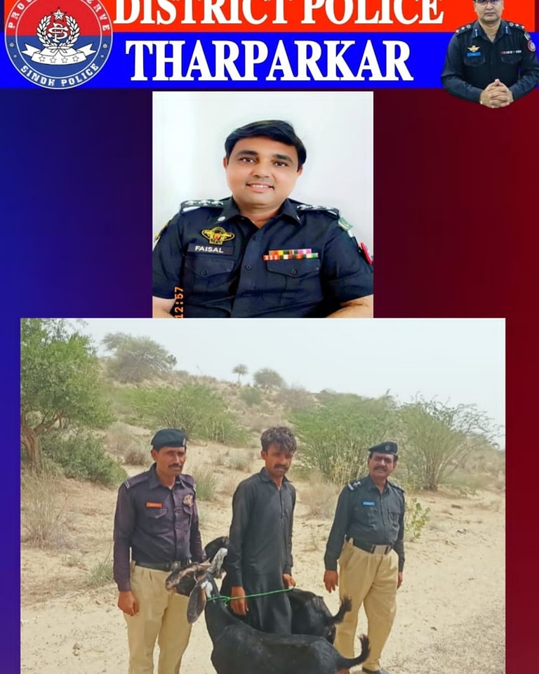 press release
