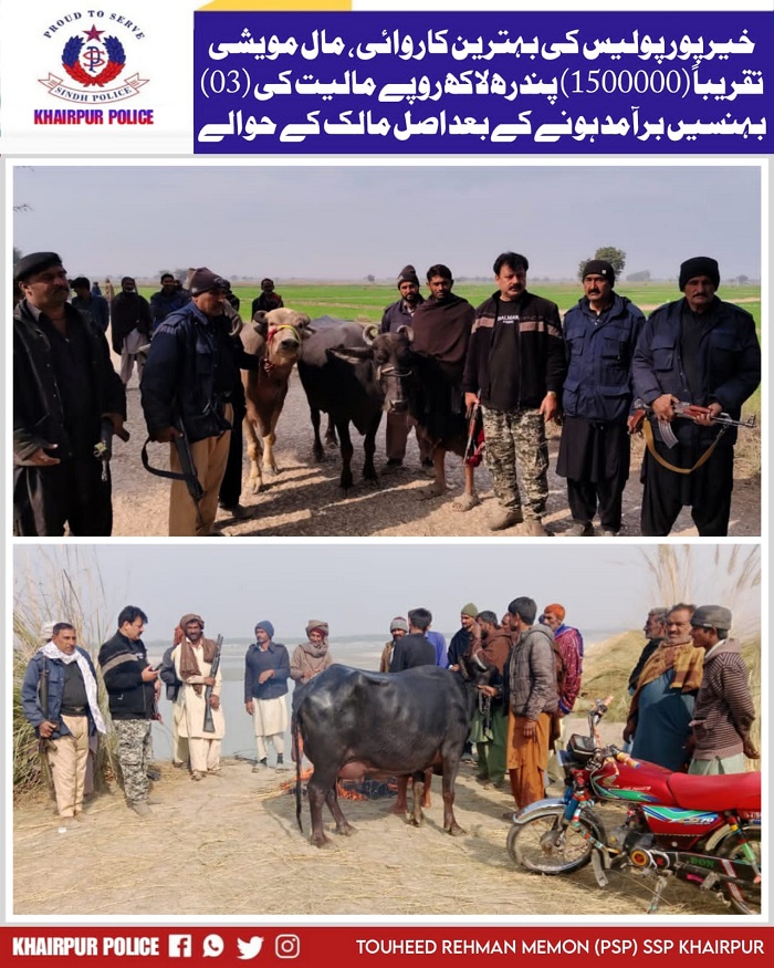 press release