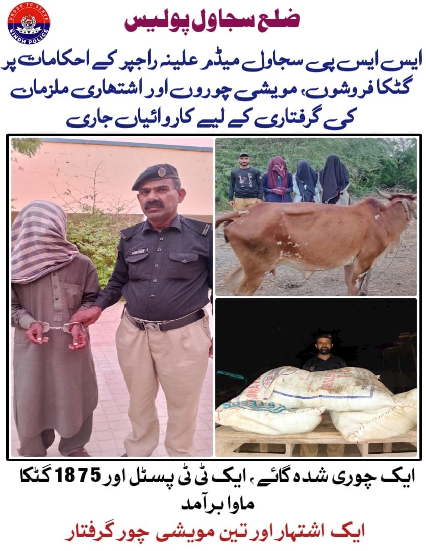 press release