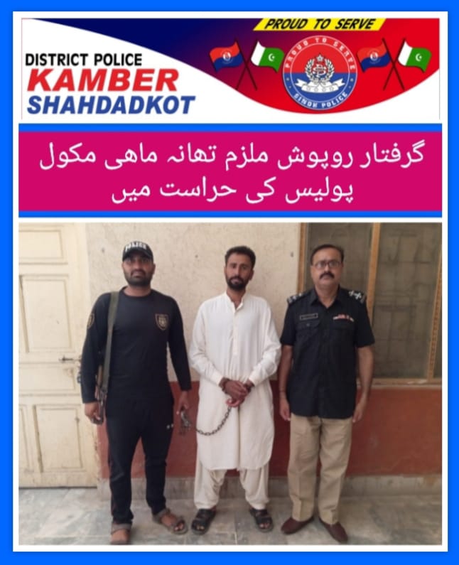 press release