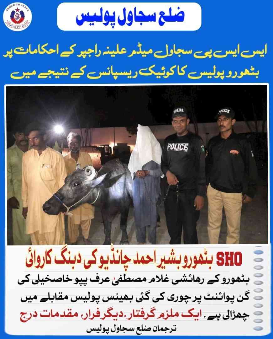 press release
