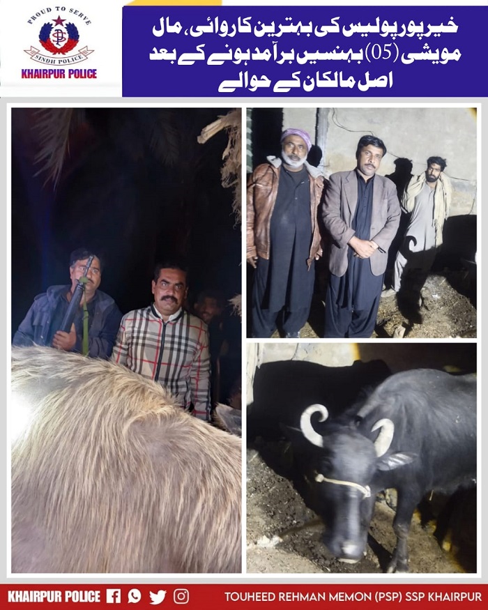 press release
